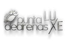 logo PA X